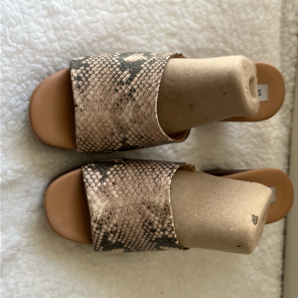 Steve Madden Snake print clogs worn twice very good condition